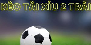 Tài Xỉu 2 trái Bj88